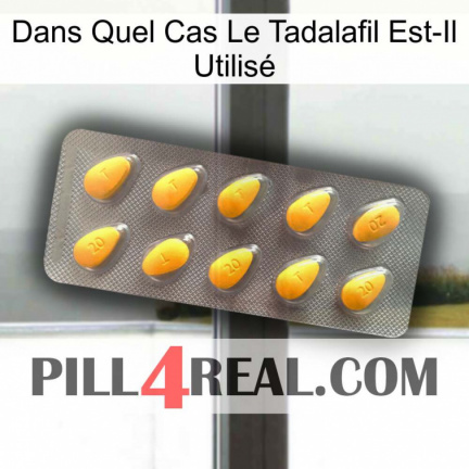 Dans Quel Cas Le Tadalafil Est-Il Utilisé cialis1